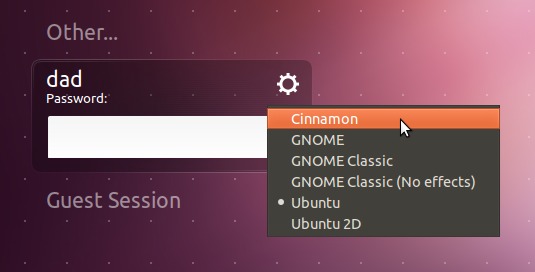 software-installation,cinnamon,ubuntu