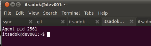themes,gnome-terminal,ubuntu