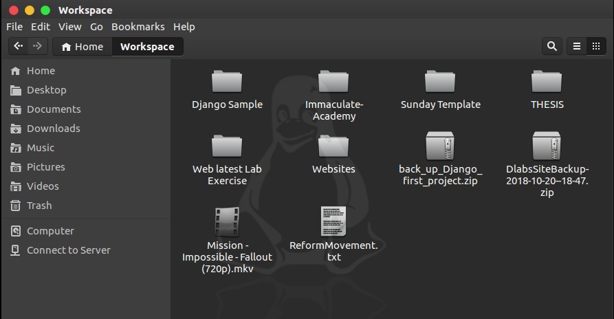 nautilus,files,directory,13.04,places,ubuntu