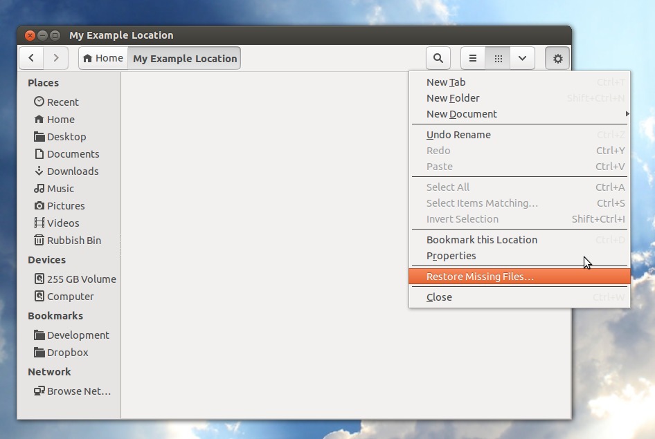 nautilus,files,directory,13.04,places,ubuntu