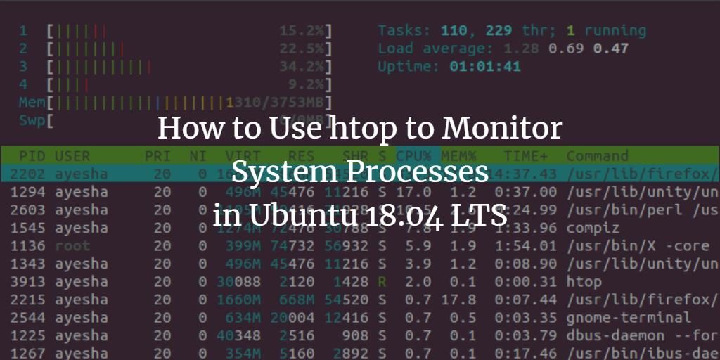 Monitor processes in Ubuntu with htop command