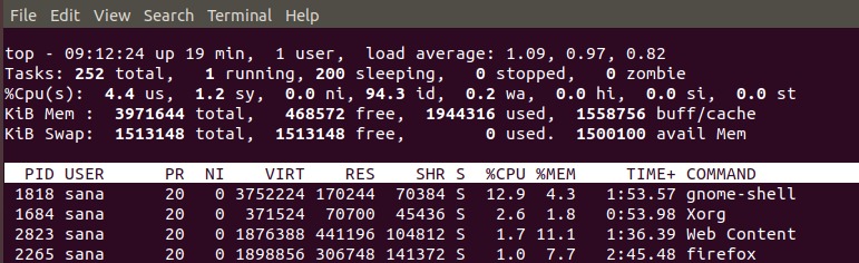 Use top command for memory usage