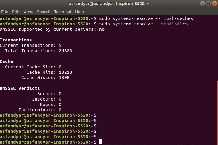 Flush DNS cache in systemd