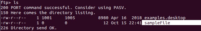ls in FTP