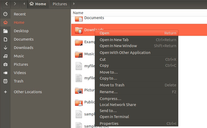 Open Ubuntu File Manager