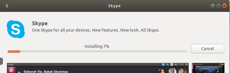 Skype is being installed on the system