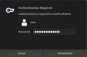 Authenticate as admin