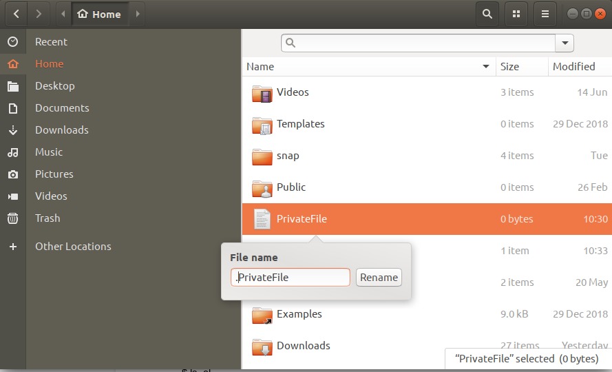 Hide a file using Ubuntu GUI