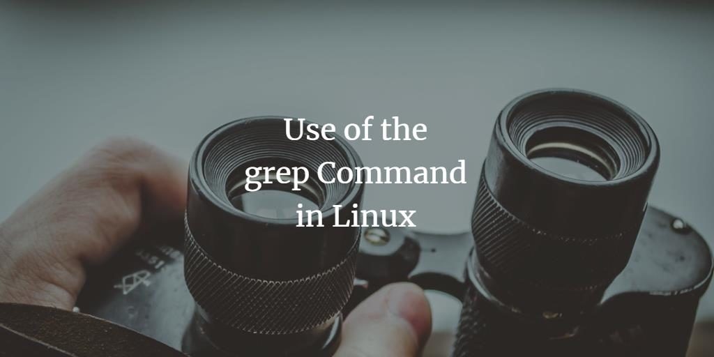 Using grep Command in Linux
