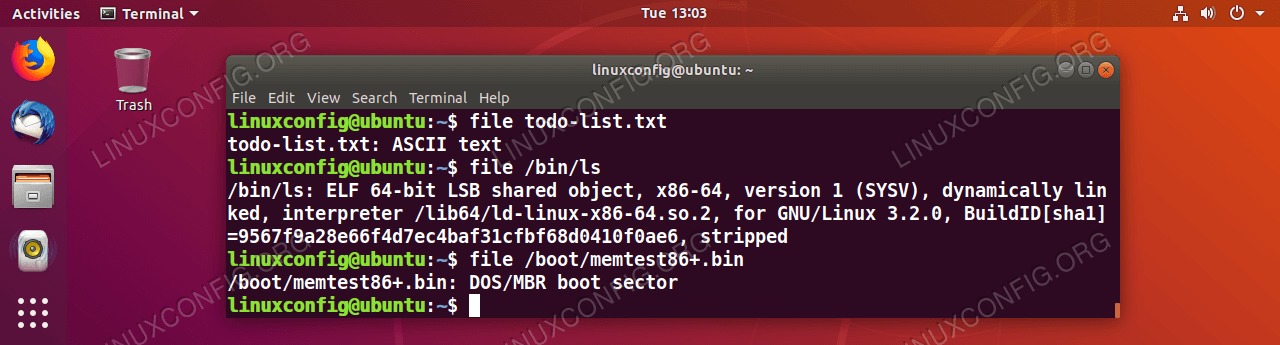Obtain the file type information by using the file GNU/Linux command.