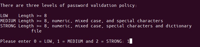 Password validation policy level