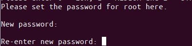 Set MySQL root password