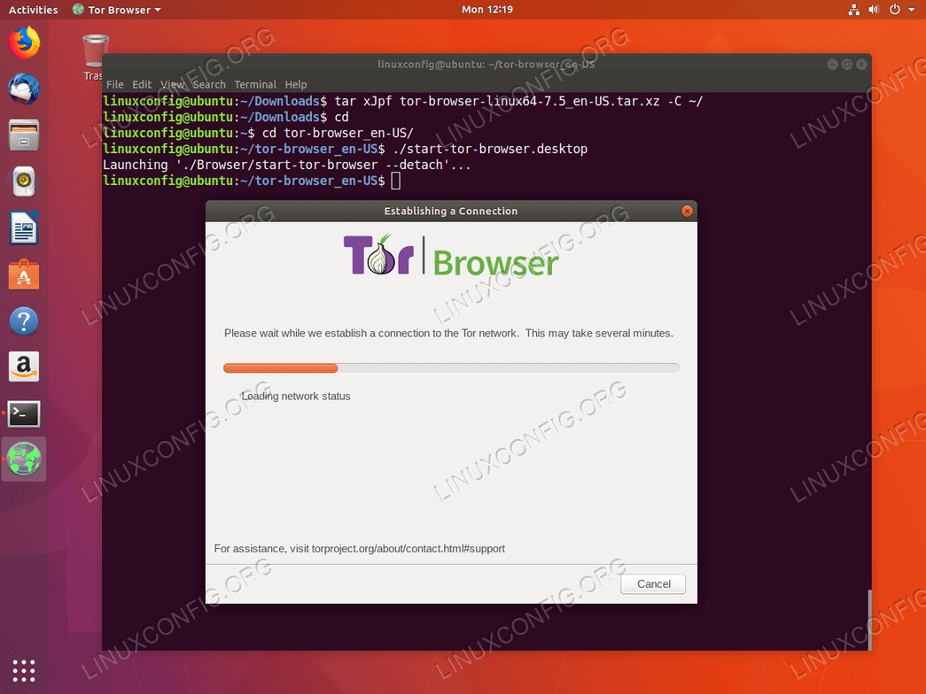 Wait for the Tor Browser to connect to a tor network.