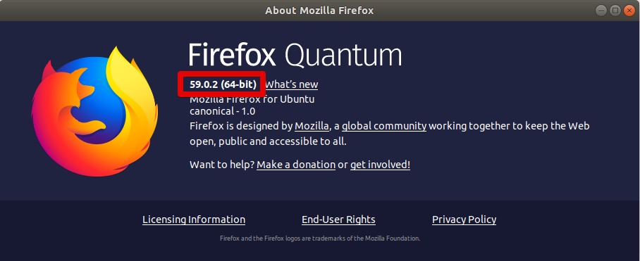 Firefox version
