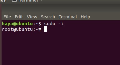 Ubuntu sudo command