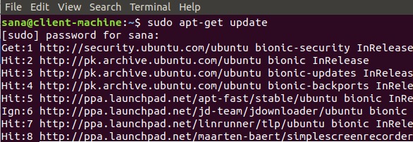 Install Ubuntu updates