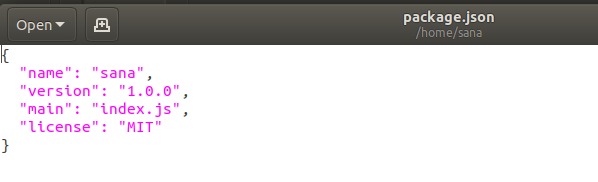 Package json file