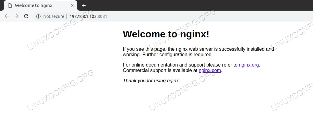 Nginx service check via browser