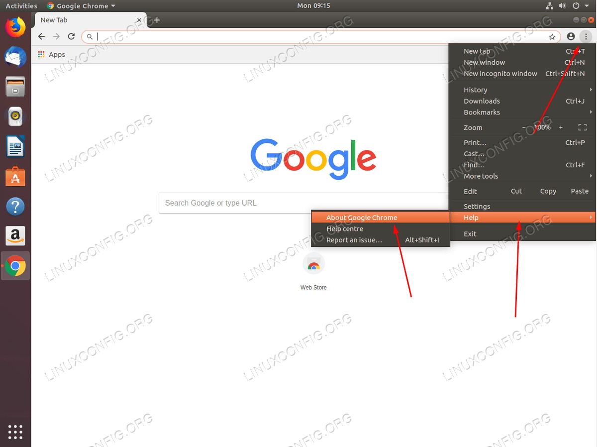Customize and control Google Chrome - Help - About Google Chrome